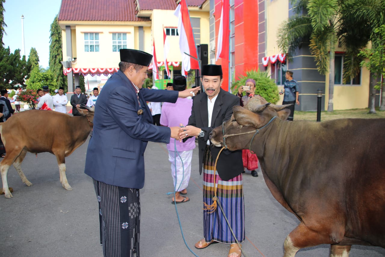 Idul Adha, 1.608 Ternak Dikurbankan. 