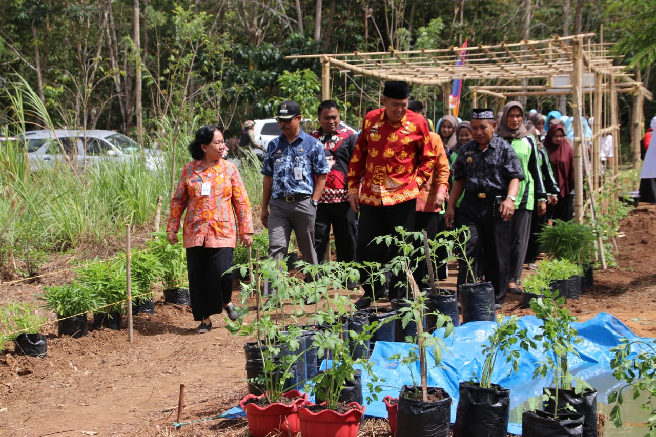 Bupati Bulukumba Canangkan Sembilan Desa Organik