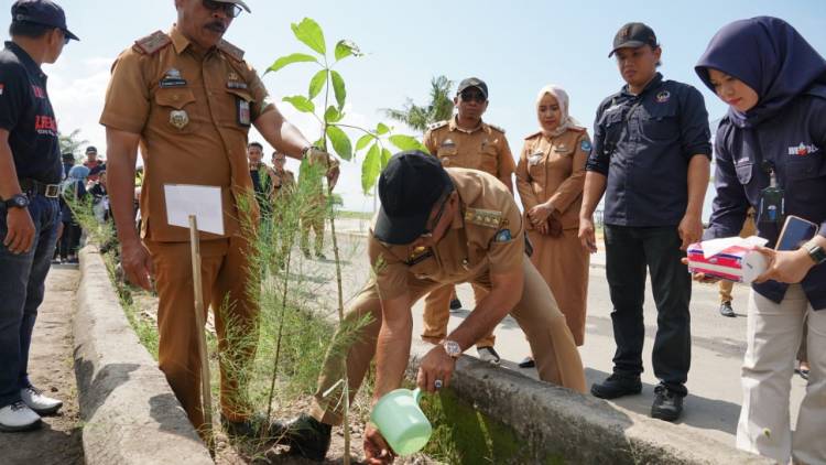 Peringati Hari Lingkungan Hidup, DLHK Tanam Pohon di Pantai Merpati
