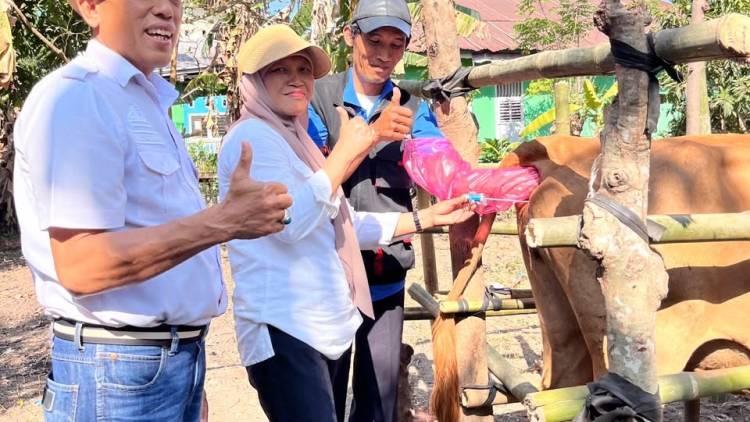 Jambore Pelayanan Publik Gantarang Hadirkan Layanan Kesehatan Hewan, Sapi hingga Kucing Dilayani
