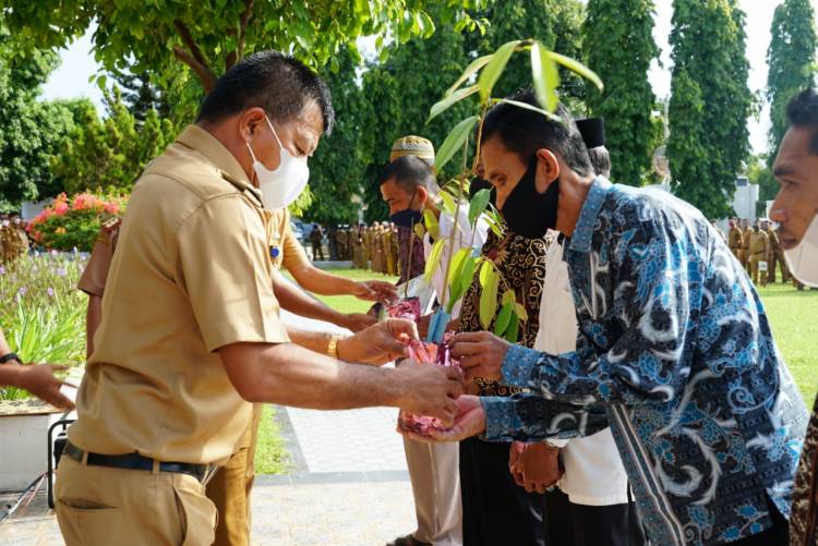 Bupati Andi Utta Serahkan Bibit Durian Musangking 7.620 pohon