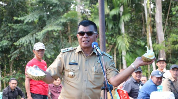 Andi Utta Buat Kebun Percontohan Bibit Unggul di Tibona