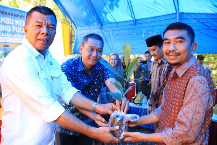 Bagikan Bibit Unggul, Andi Utta Harap Bulukumba Jadi Penghasil Jambu Mente Kualitas Ekspor