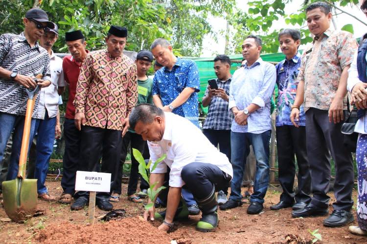 Bagikan Bibit Unggul, Andi Utta Harap Bulukumba Jadi Penghasil Jambu Mente Kualitas Ekspor