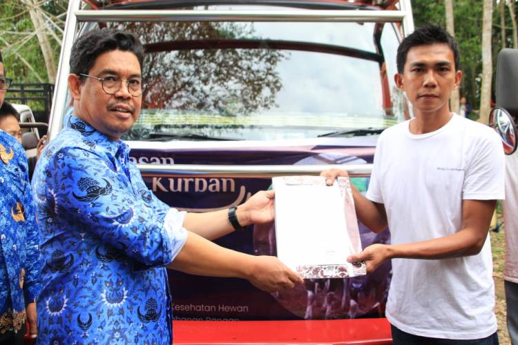 Bulukumba Jadi Daerah Pemasok Ternak Sapi, Wabup Lepas 46 Sapi Qurban ke Kalimantan 