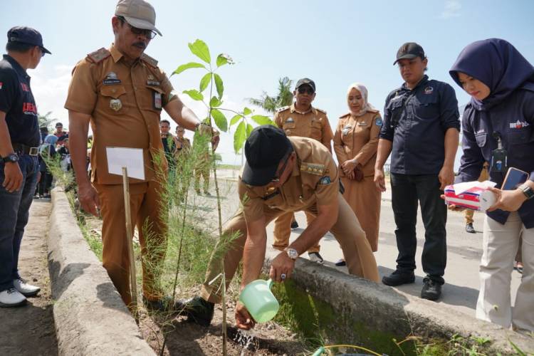 Peringati Hari Lingkungan Hidup, DLHK Tanam Pohon di Pantai Merpati