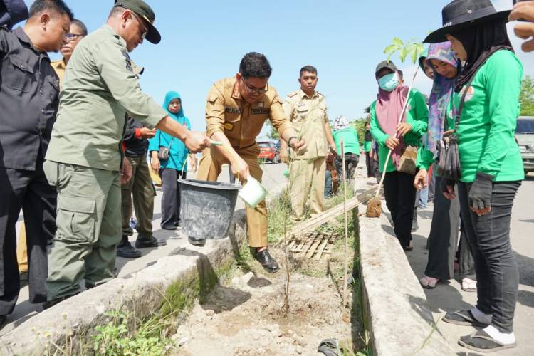 Peringati Hari Lingkungan Hidup, DLHK Tanam Pohon di Pantai Merpati