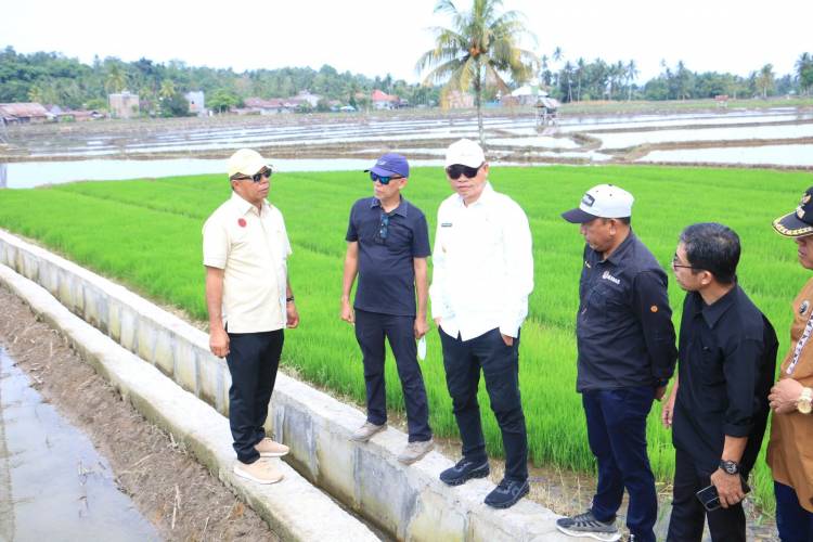 Pj Gubernur Prof Fadjry Djufry, Tinjau Bangunan Irigasi Pracetak