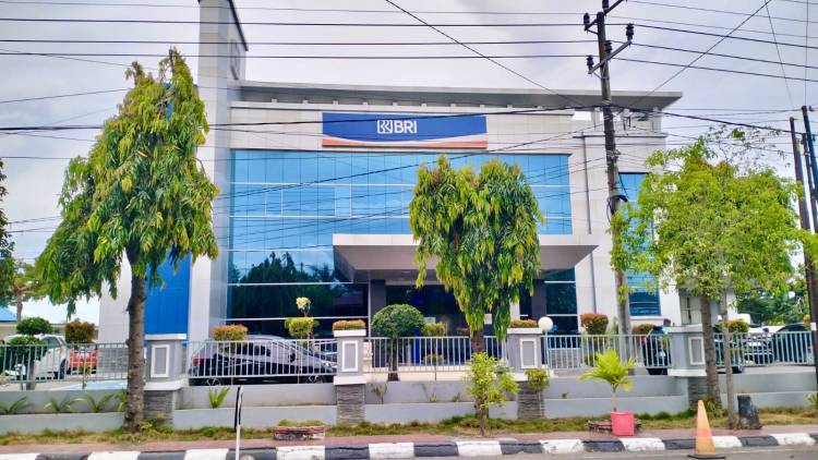 Realisasi KUR BRI Fantastis, UMKM Bulukumba Tumbuh Pesat