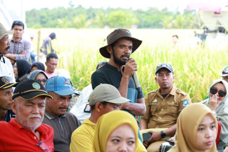 Panen Raya di Bontoharu, Bupati Andi Utta Tekankan Pentingnya Ketahanan Pangan dan Modernisasi Pertanian