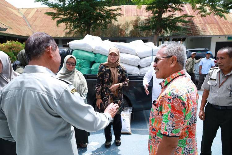 Bulukumba Terima Bantuan 10 Ton Benih Padi Varietas Unggul