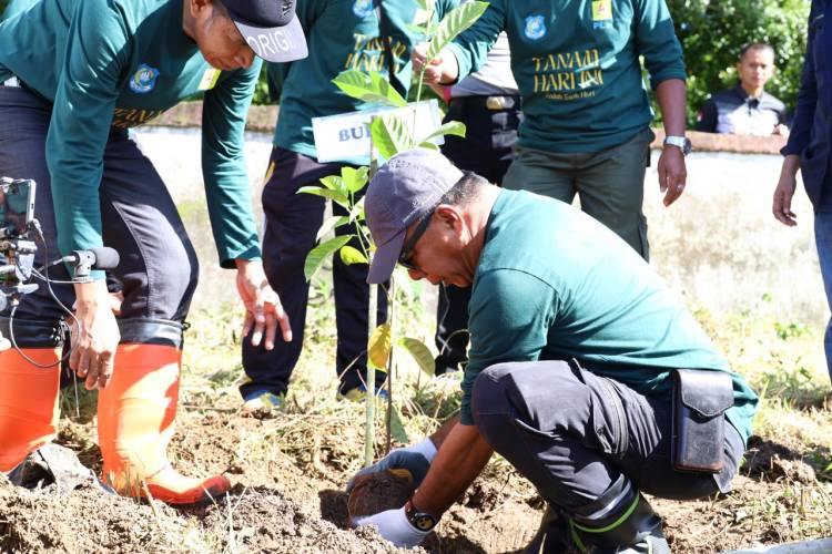 Tanam Pohon di Kindang Warnai Peringatan Hari Lingkungan Hidup Sedunia 2026