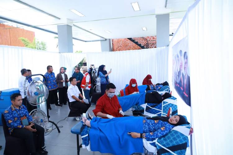 Peringati Hari Donor Darah Sedunia, PMI Bulukumba Himpun 115 Kantong Darah