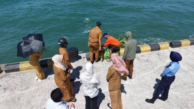 Rumpon Dasar Mini Hadir di Kolam Labuh Bentenge, Perkuat Ekosistem Laut dan Edukasi Perikanan Berkelanjutan