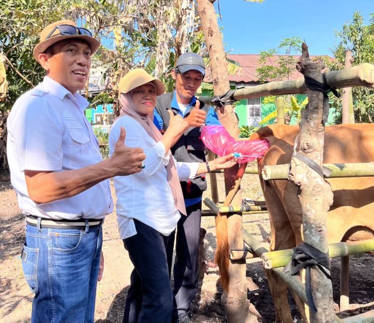 Jambore Pelayanan Publik Gantarang Hadirkan Layanan Kesehatan Hewan, Sapi hingga Kucing Dilayani
