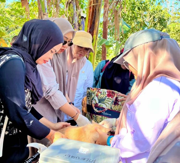 Jambore Pelayanan Publik Gantarang Hadirkan Layanan Kesehatan Hewan, Sapi hingga Kucing Dilayani